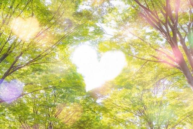 婚活での「ありのままの自分」の捉え方(世田谷・再婚）