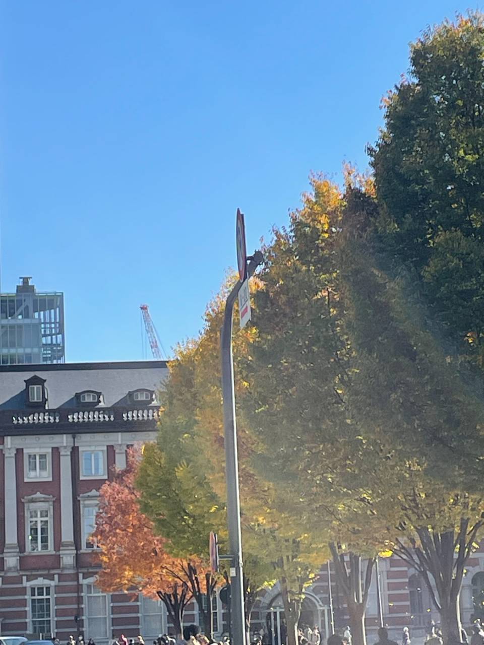 幸せな再婚をするためには、誰と関わるかが大事(世田谷・再婚）