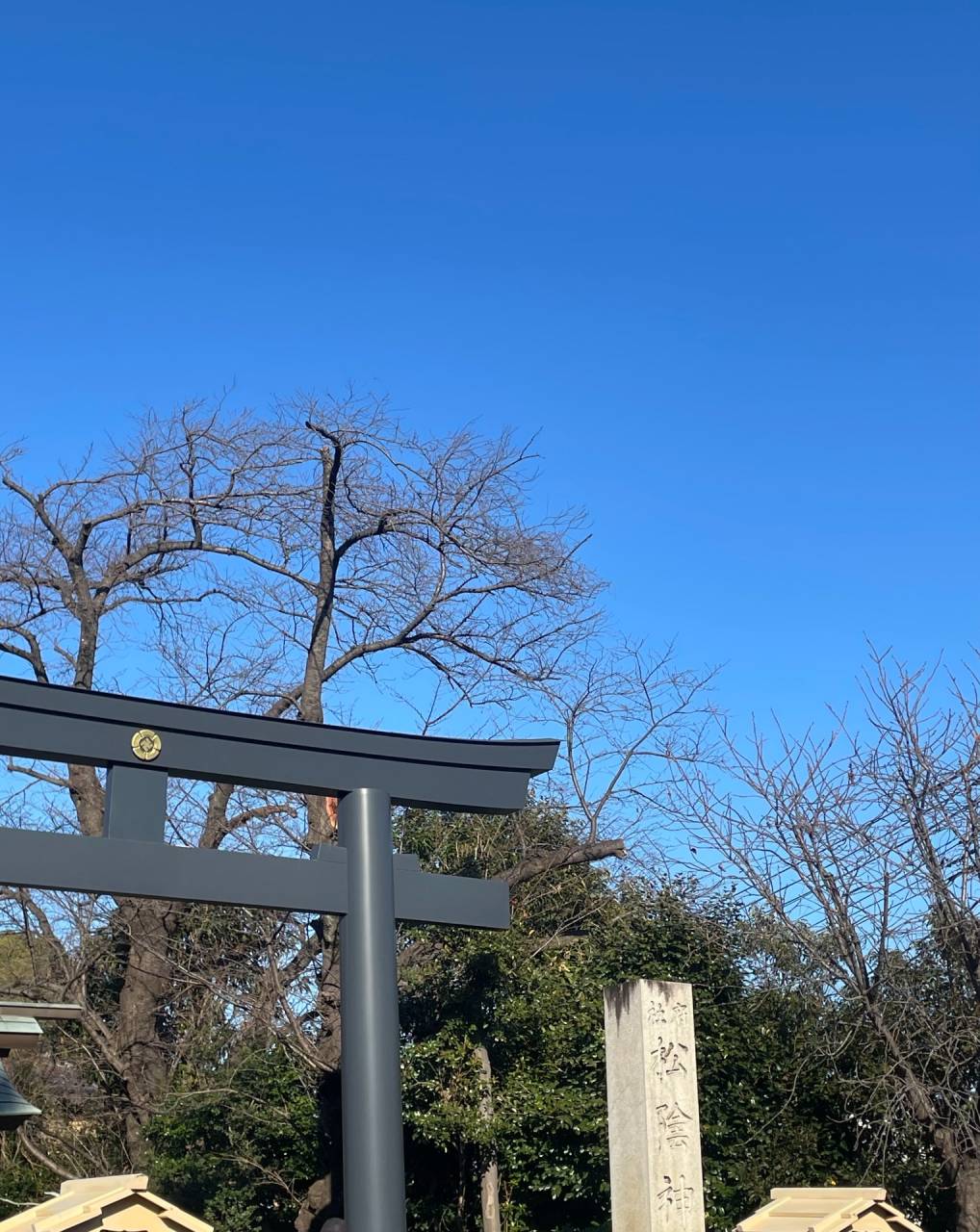 新年明けましておめでとうございます