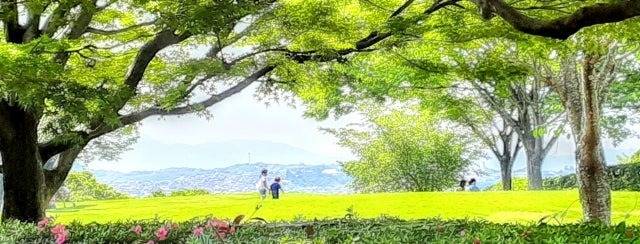 結婚相手は〇性が近い人を！(世田谷・再婚）