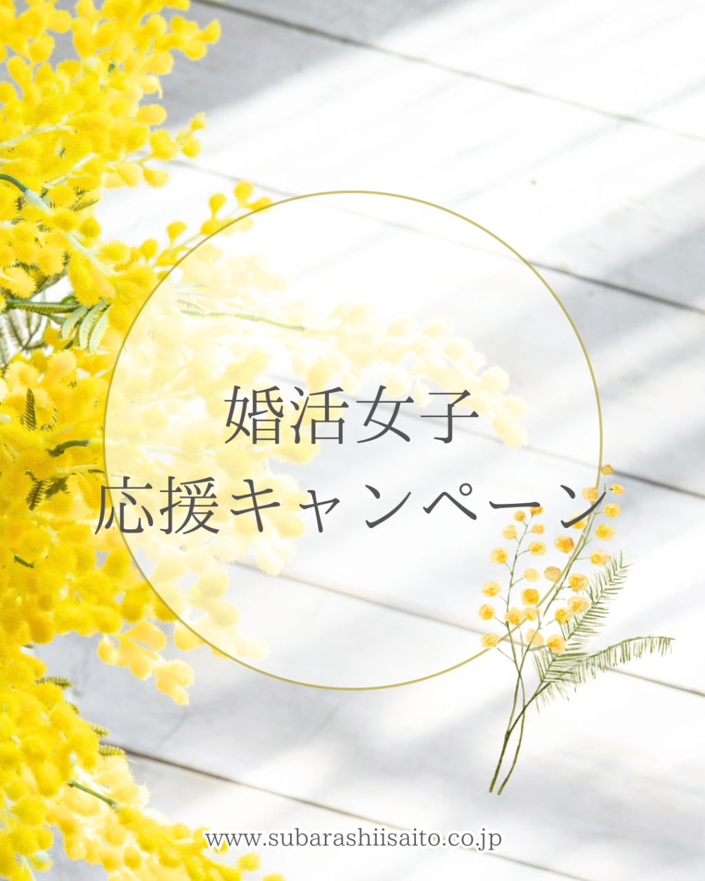 婚活女子応援キャンペーン(世田谷・再婚)