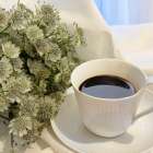 【少人数お茶会】 ～これからの人生を考える会～(世田谷・再婚）